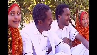 eritrean music bilen sefelal by mehret zerhans [upl. by Aurlie864]