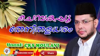 ചെമ്പകപ്പൂ തേനിതളധരം Chembakappo Thenidhaladharam CKS MOULAVI [upl. by Ahsenauq545]