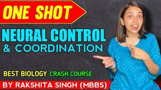 Neural Control And Coordination  One Shot Class 11 NCERT  Rakshita singh [upl. by Novit418]