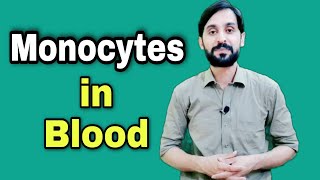 Monocytes Vs Lymphocytes 3 Min Quick differences amp Explanation [upl. by Leirraj]