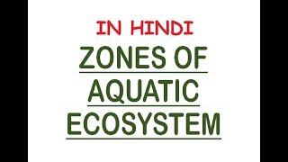 Aquatic Ecosystem Zones  PhoticAphotic Limnetic Pelagic Intertidal Neritic In Hindi [upl. by Mendelson389]