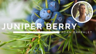 Juniper Berry – The Oil of the Abyss [upl. by Ylrehc15]