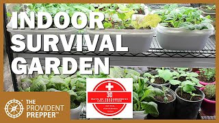 How to Grow an Indoor Survival Garden [upl. by Nysa142]