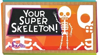 Your Super Skeleton [upl. by Anoli]