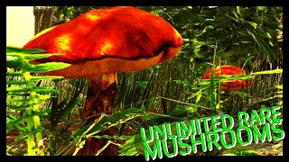 Unlimited Rare Mushrooms LOST ISLAND [upl. by Siroled]