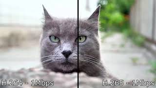 H264 vs H265 comparison 4K [upl. by Hillegass]