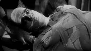 THE MUMMY 1932 Clip Mummified [upl. by Laden]