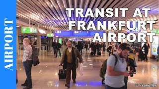 TRANSIT WALK AT FRANKFURT Airport FRA Terminal 1  Connection Flight Transfer Arriving amp Departing [upl. by Irving]