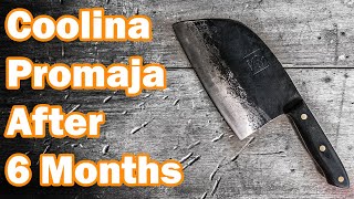 TRUTH of Serbian Chef Knife After 6 Months [upl. by Boys]