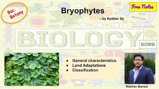 Bryophytes  General Characteristic amp classification  Bsc  Free PDF notes  by Viologia EXtrema [upl. by Anoyk]