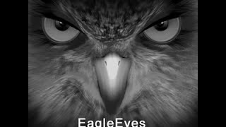 Visualizar DVR Avtech con app EagleEyes [upl. by Idolla510]