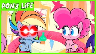 Pony Life  NEW  Rainbow Dash Loyalty Moment  Kindness Day  MLP Pony Life [upl. by Kared]